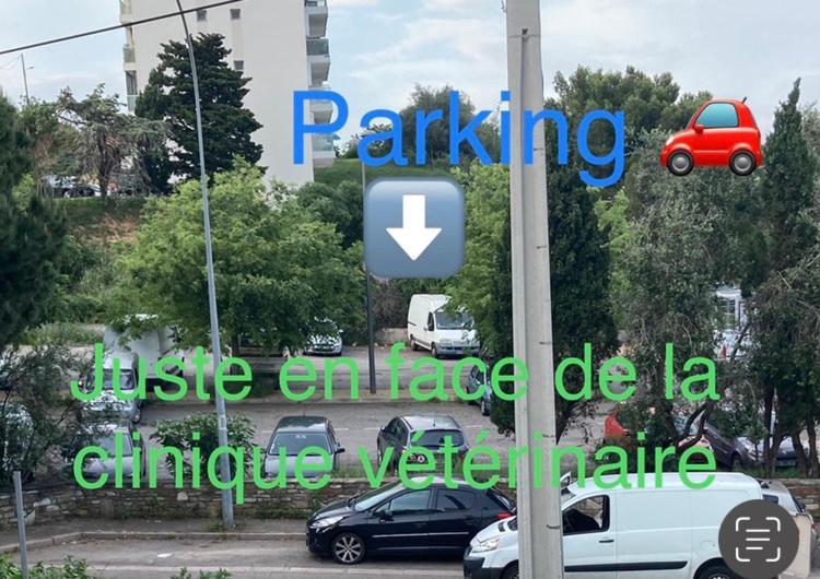Location Chambre Avec Salle De Bain Et Partie Commune Sea View & Mountain View Renting 1 Of 3 Bedrooms With Shared Common Space 3 Bdrm Apt Not 1 Bdrm Plus Clime Ou Ac 바스티아 외부 사진